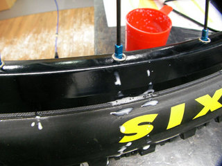 mg110420-7.jpg
